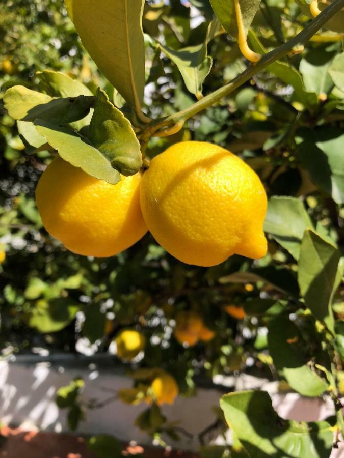 Limonero Bnb Gualchos Eksteriør bilde